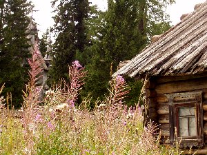 Порженский погост. Заброшенный дом