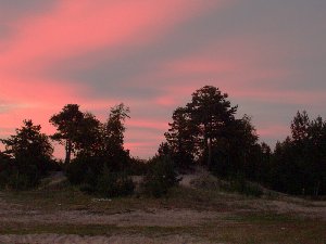 Дюны на берегу Белого моря в Северодвинске