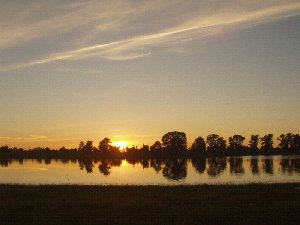 На берегу старицы Тобола